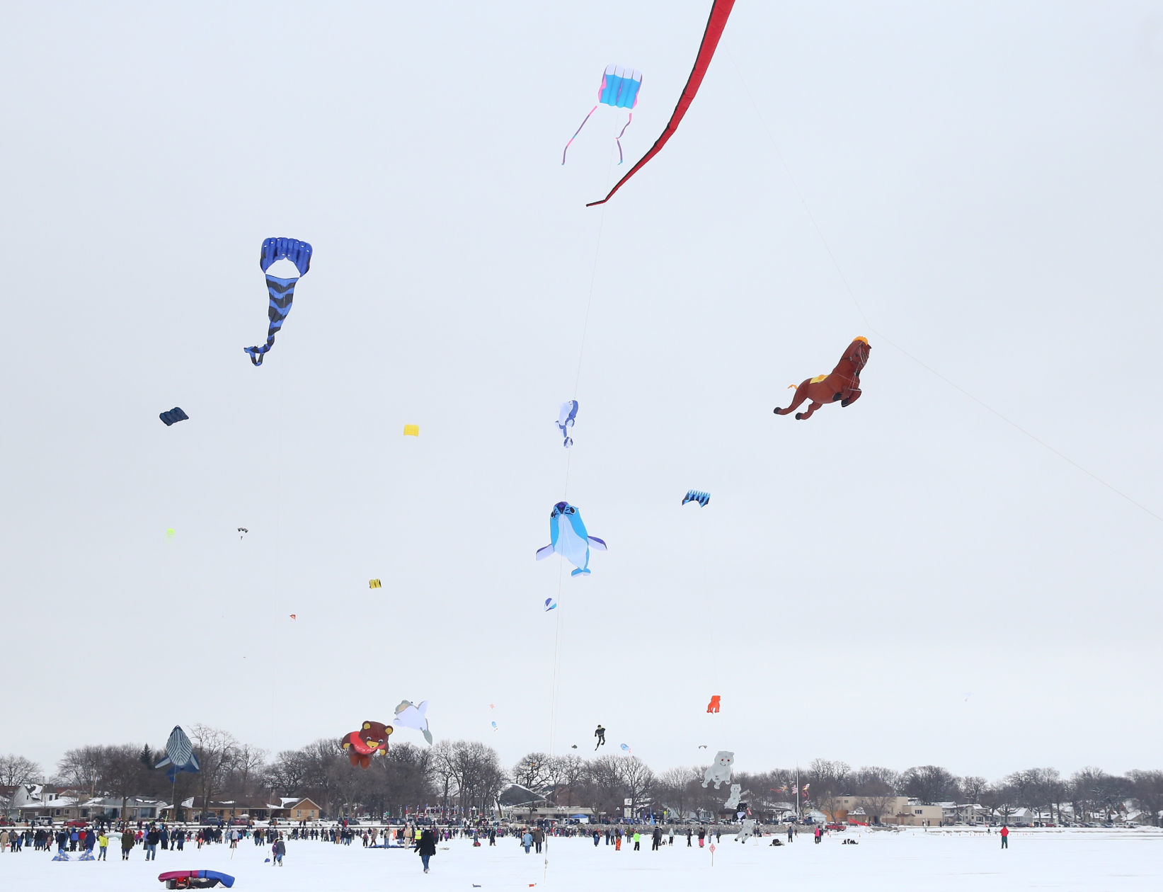 Color the Wind 27